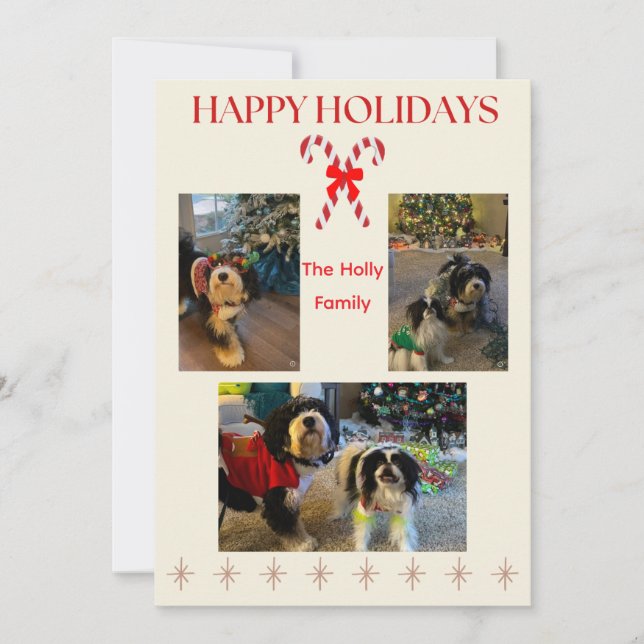 Happy Holidays Candy Cane and Twinkle Card (Front)