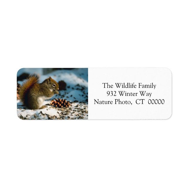 Happy Holidays Card Return Address Stickers (Front)