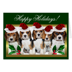 Happy Holidays Christmas beagle puppies card