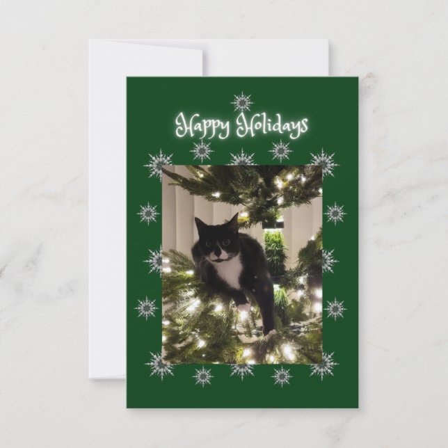 Happy Holidays. Christmas card with Tuxedo cat. (Front)