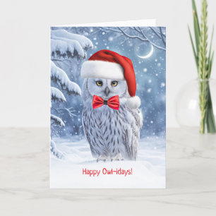 Happy Holidays Christmas with Cute Owl Card