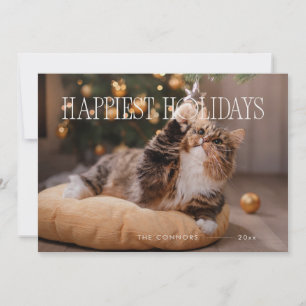 Happy Holidays Custom Christmas Cat Cute Holiday Card