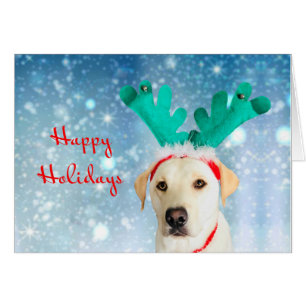 Happy Holidays Cute Dog Reindeer Antlers Festive Cards