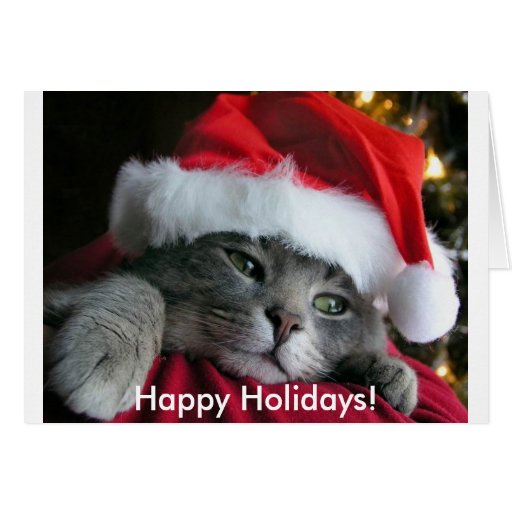 Happy Holidays! Cute Kitten Card | Zazzle