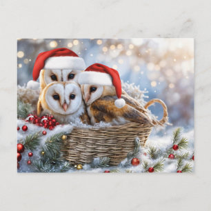Happy Holidays Cute Owls Wildlife Santa Hats Holiday Postcard