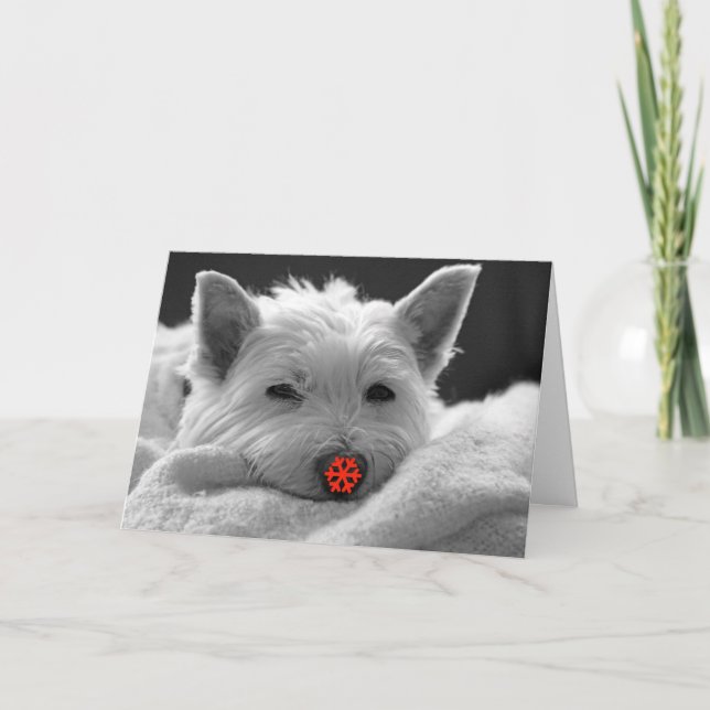 Happy Holidays - Cute Westie Dog Card (Front)