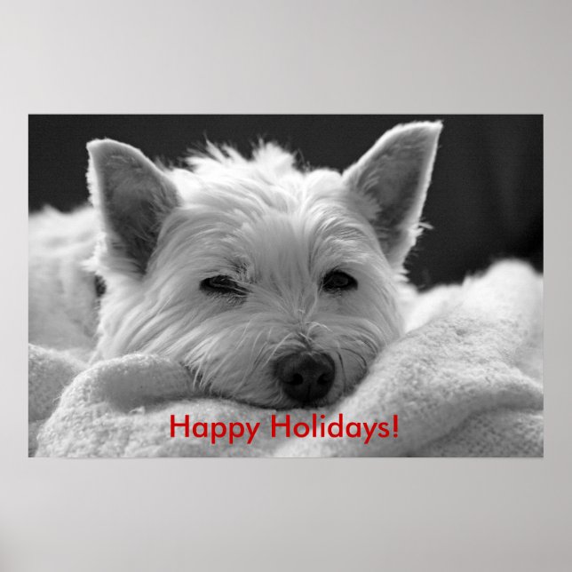 Happy Holidays - Cute Westie Dog Poster (Front)