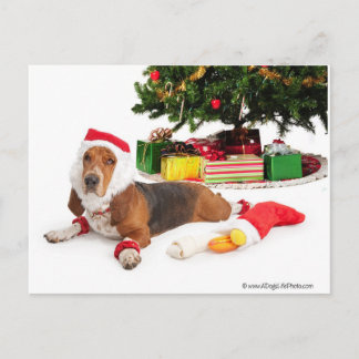 Happy Holidays/December Holiday Postcard