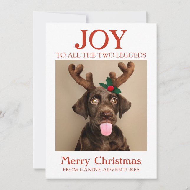Happy Holidays Dog Photo From Dog Walker Holiday Card (Front)