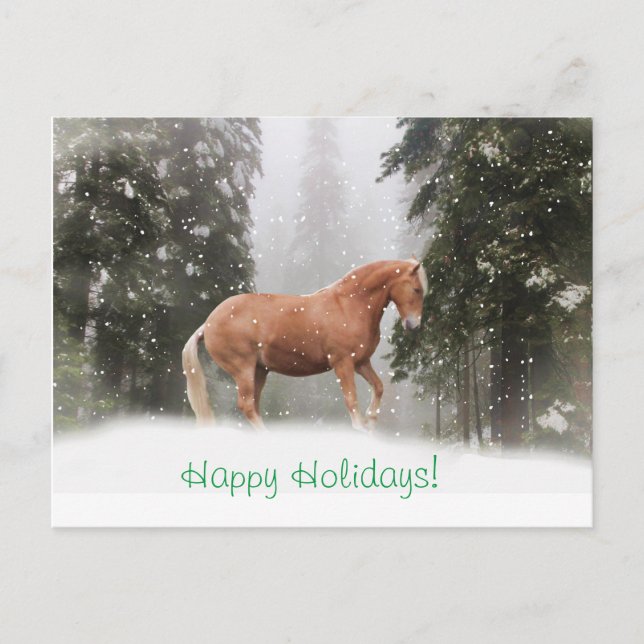 Happy Holidays Draft Horse Postcard (Front)