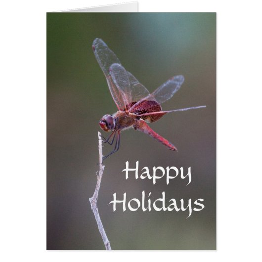 Happy Holidays Dragonfly Cards (Front)