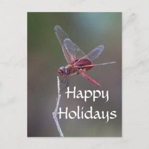 Happy Holidays Dragonfly Holiday Postcard