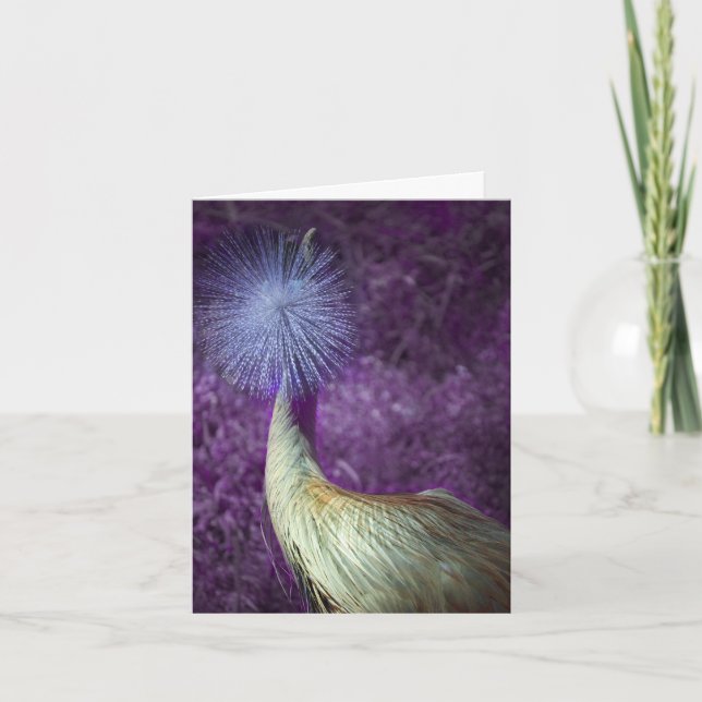 happy holidays & enjoy the new year holiday card (Front)