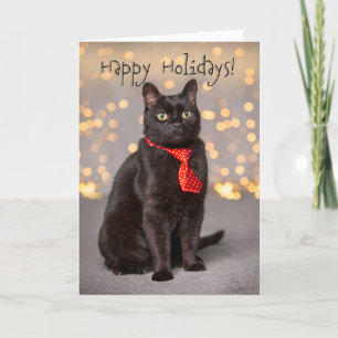 Happy Holidays For Anyone Cute Black Cat Holiday Card