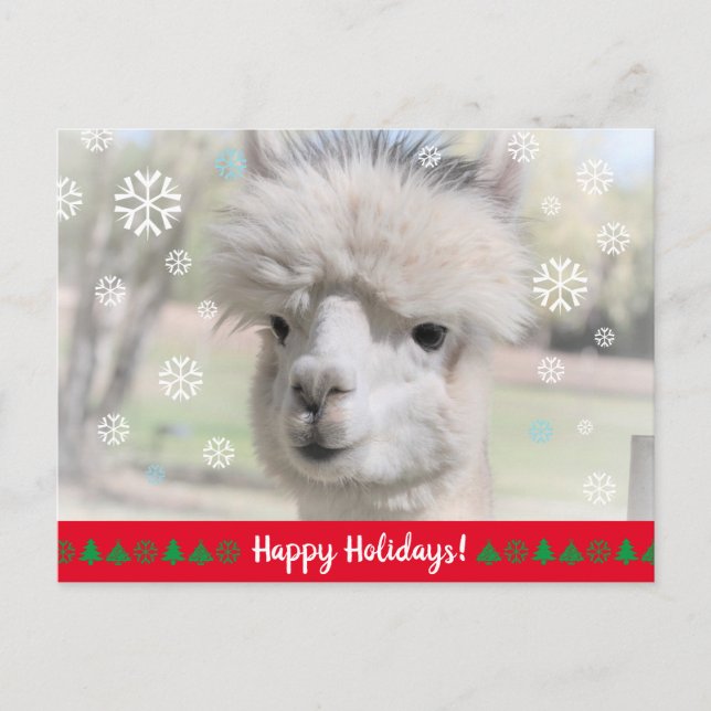 Happy Holidays from Snow Alpaca Postcard (Front)