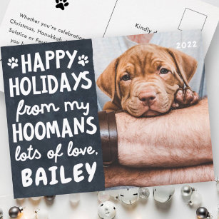Happy Holidays Funny Modern Pet Custom Photo Holiday Postcard