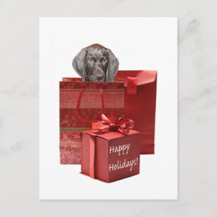 Happy Holidays german shorthaired pointer Holiday Postcard
