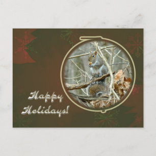 Happy Holidays Greeting - Gray Squirrel Holiday Postcard
