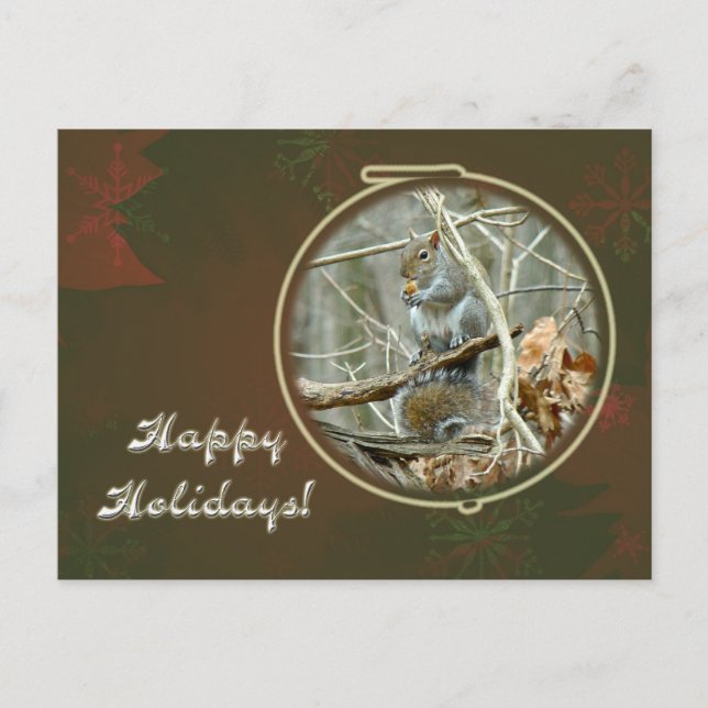 Happy Holidays Greeting - Gray Squirrel Holiday Postcard (Front)