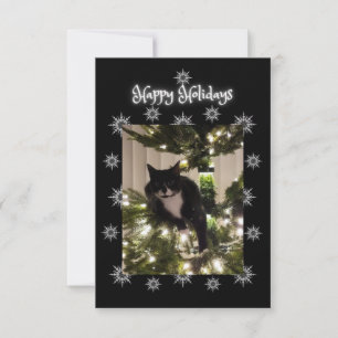 Happy Holidays greeting. Tuxedo cat.