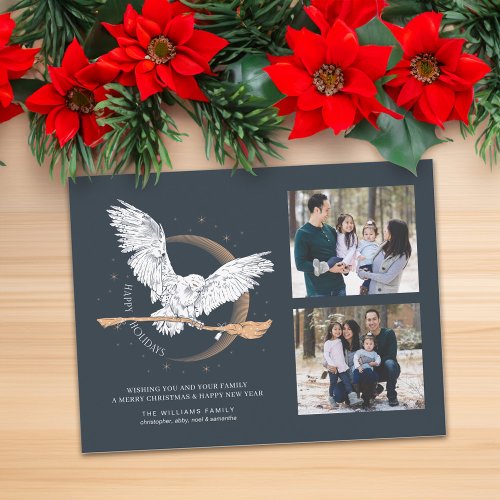 Happy Holidays Hedwig Delivery  Family Photo Holiday Postcard
