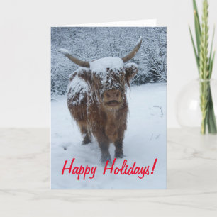 Happy Holidays Highland Cow Holiday Card