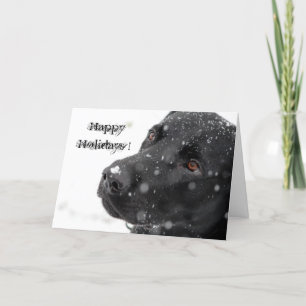 Happy Holidays! Holiday Card