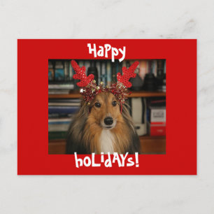 HaPpy HoLiDayS Holiday Postcard