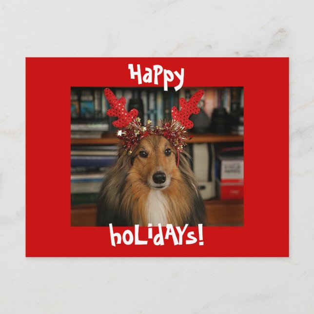 HaPpy HoLiDayS Holiday Postcard (Front)