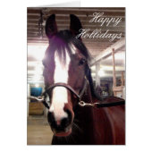 Happy Holidays Horse Cards (Front)