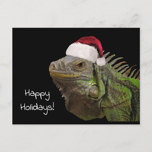 Happy Holidays Iguana Lizard with Santa Hat Holiday Postcard
