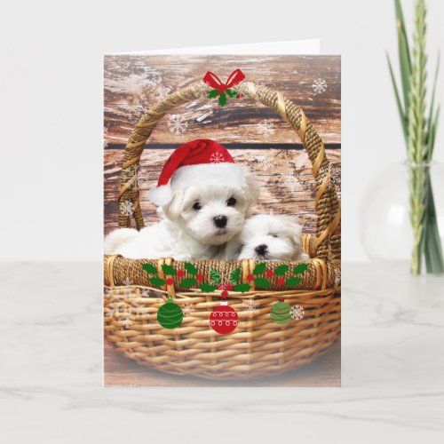 Happy Holidays Maltese Puppies Holiday Card