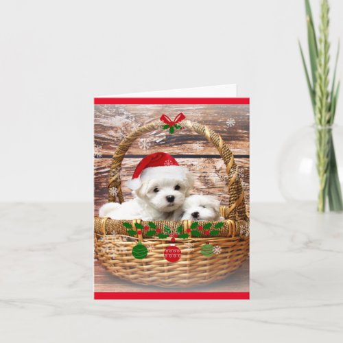 Happy Holidays Maltese Puppies Holiday Card