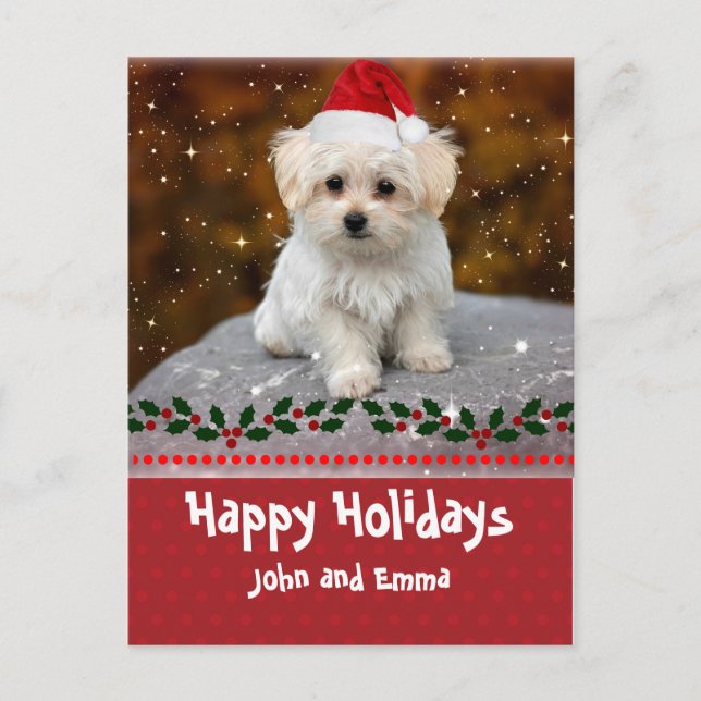 Happy Holidays, Maltese Puppy, Holiday Postcard (Front)