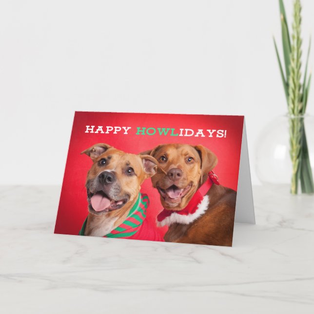 Happy Holidays Pit Bull Portrait Humor Holiday Card (Front)