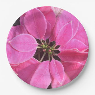 Happy Holidays Poinsettia Paper Plates