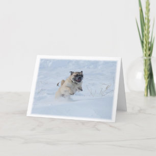 Happy Holidays Pug Playing in the Snow Christmas Holiday Card