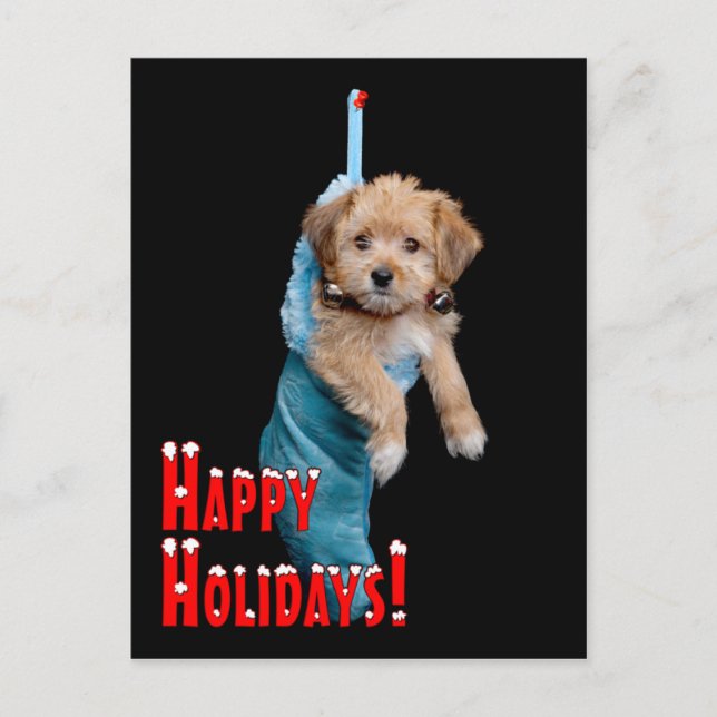Happy Holidays Puppy Holiday Postcard (Front)