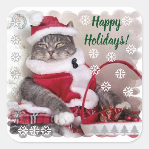Happy Holidays purr from pretty cat Square Sticker