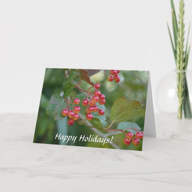 Happy Holidays : Red Berries Holiday Card (Front)