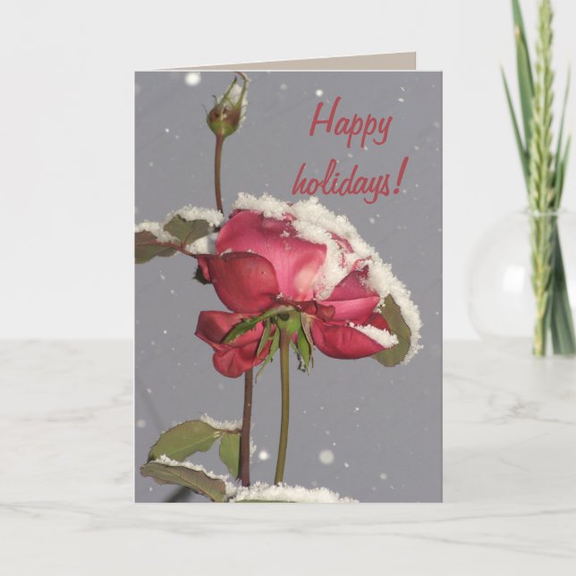 Happy holidays- red rose with snow cover holiday card (Front)