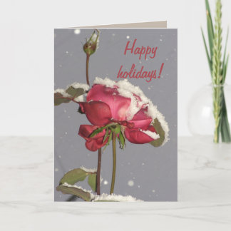 Happy holidays- red rose with snow cover holiday card