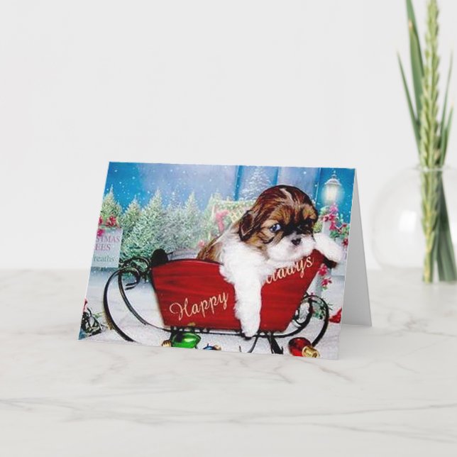 Happy Holidays Shih Tzu Holiday Card (Front)