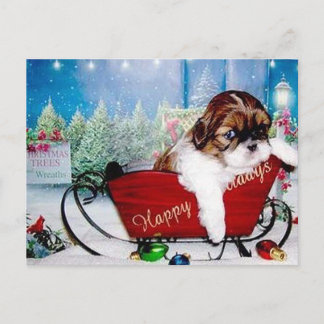 Happy Holidays Shih Tzu Holiday Postcard