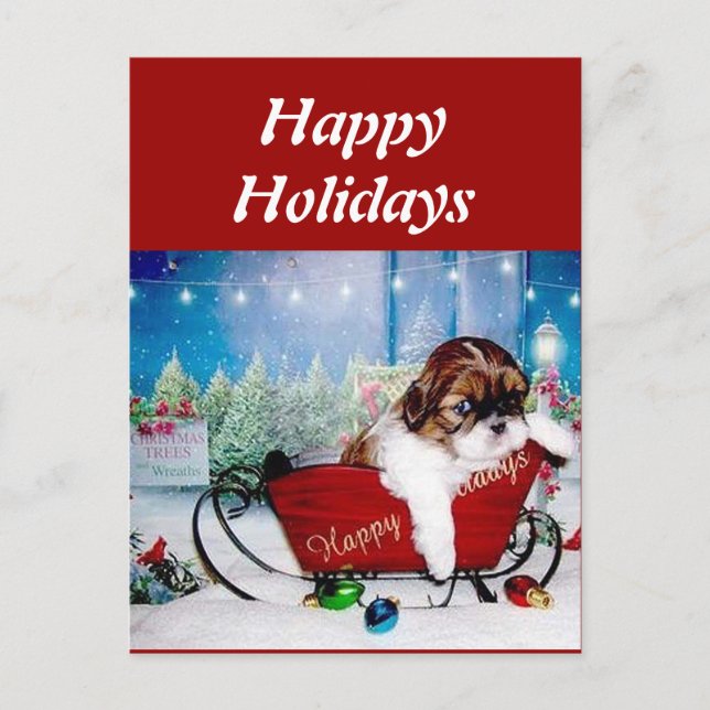 Happy Holidays Shih Tzu Holiday Postcard (Front)