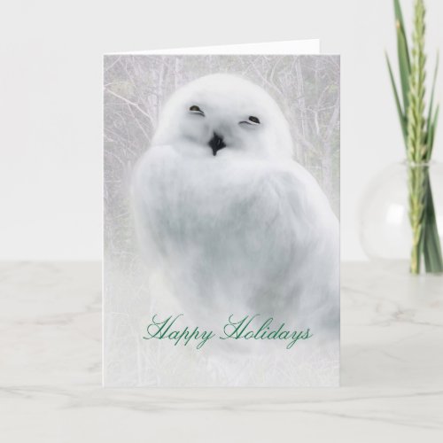Happy Holidays  Snowy Owl greeting card