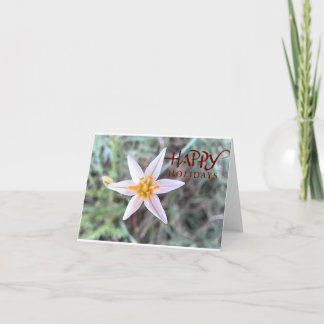 Happy Holidays White Flower Blank Greeting Card