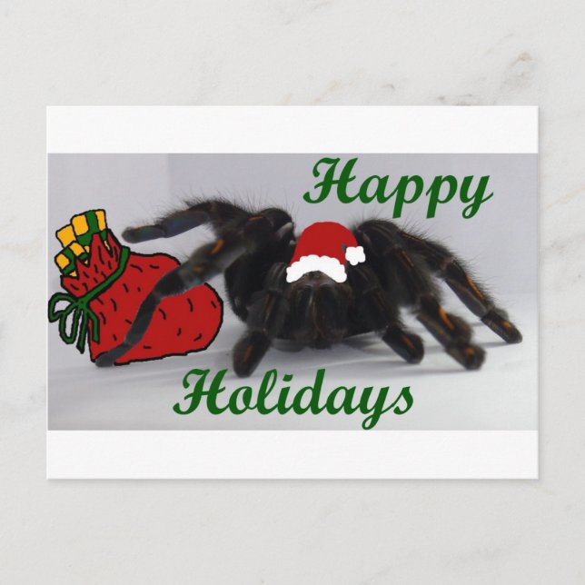 Happy Holidays! ... with a Tarantula? Holiday Postcard (Front)