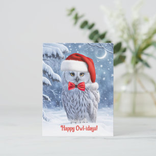Happy Holidays with Cute Owl and Snow Holiday Postcard