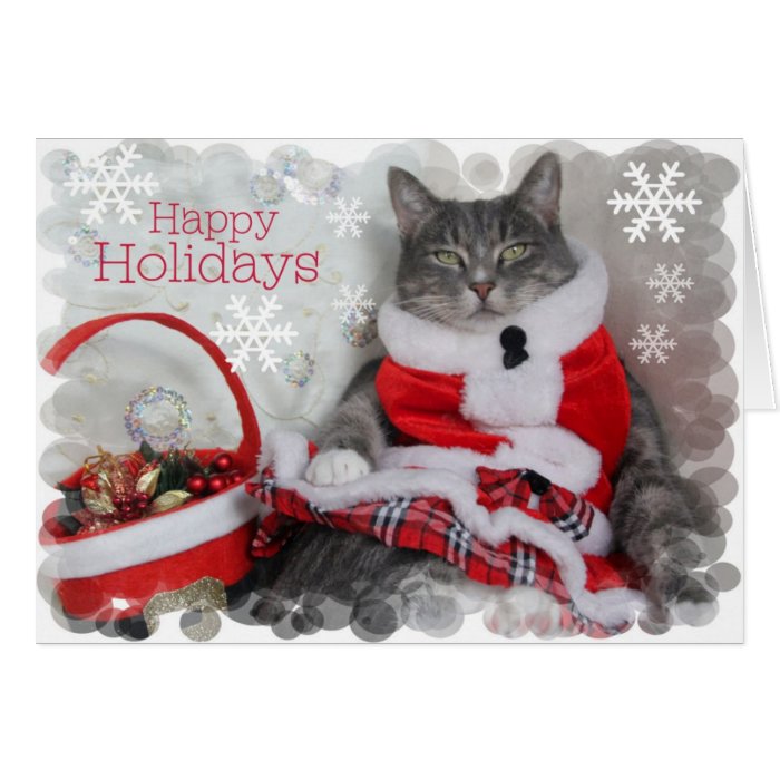 Happy Holidays with Funny Cat Greeting Card